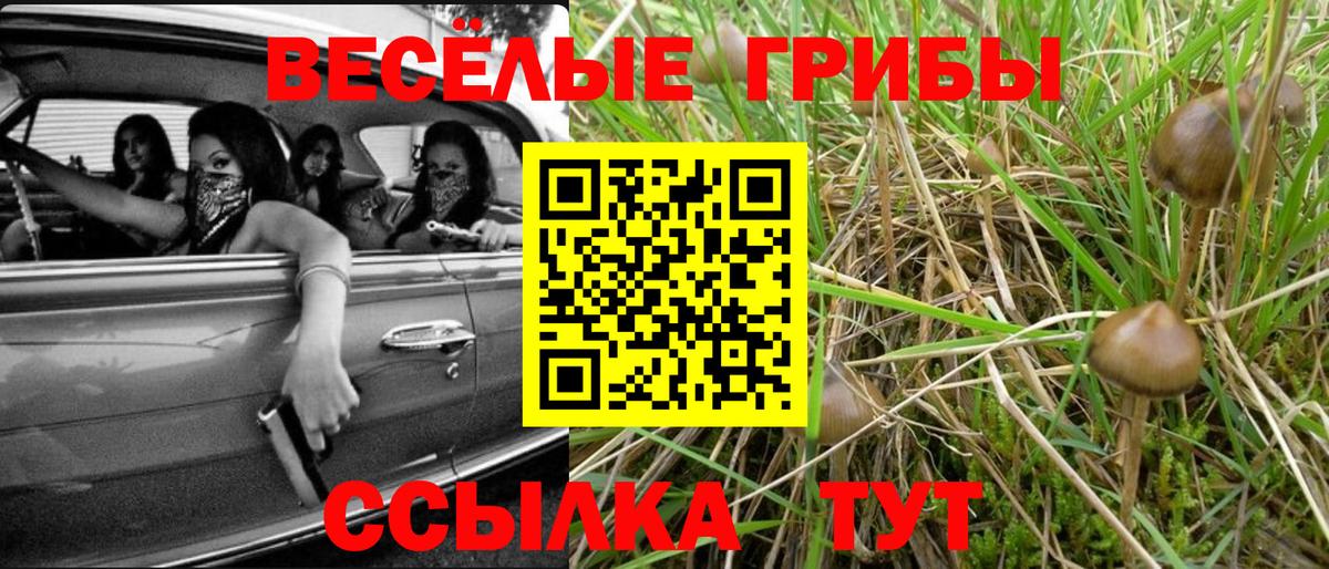 Псилоцибиновые грибы Magic Shrooms  Вход с VPN  Майкоп 