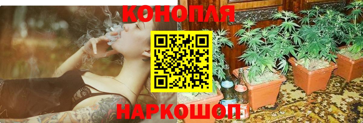 Канабис THC 21% Майкоп